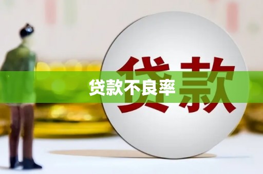鹤庆贷款不良率