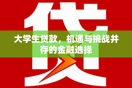 鹤庆大学生贷款，机遇与挑战并存的金融选择