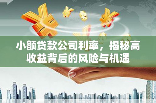 鹤庆小额贷款公司利率，揭秘高收益背后的风险与机遇
