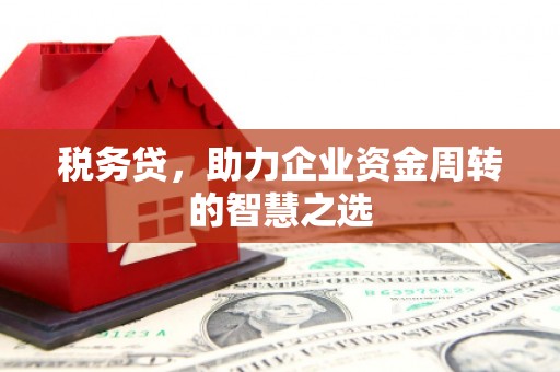 鹤庆税务贷，助力企业资金周转的智慧之选