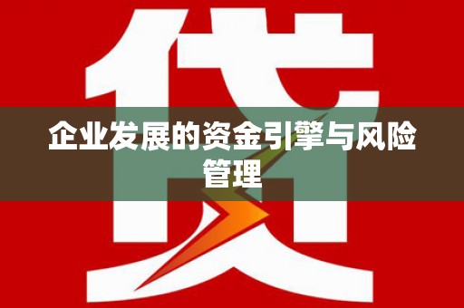 鹤庆企业发展的资金引擎与风险管理