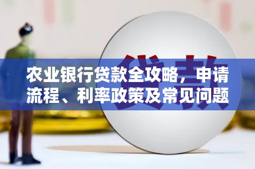 鹤庆农业银行贷款全攻略，申请流程、利率政策及常见问题解析