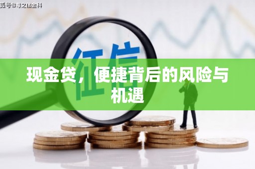 鹤庆现金贷，便捷背后的风险与机遇