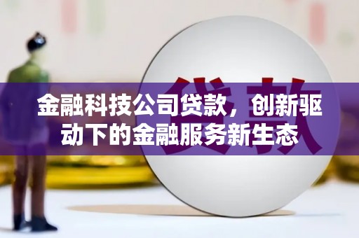 鹤庆金融科技公司贷款，创新驱动下的金融服务新生态