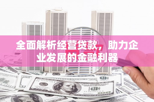 鹤庆全面解析经营贷款，助力企业发展的金融利器