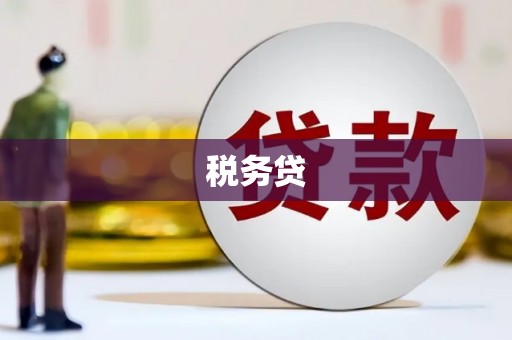 鹤庆税务贷