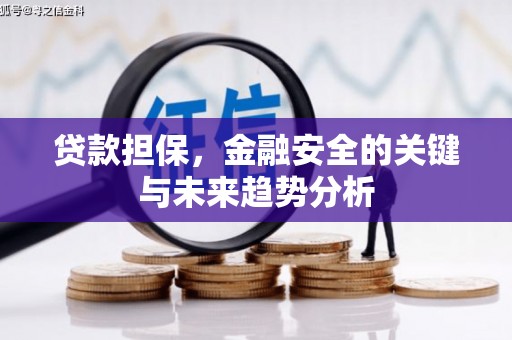 鹤庆贷款担保，金融安全的关键与未来趋势分析