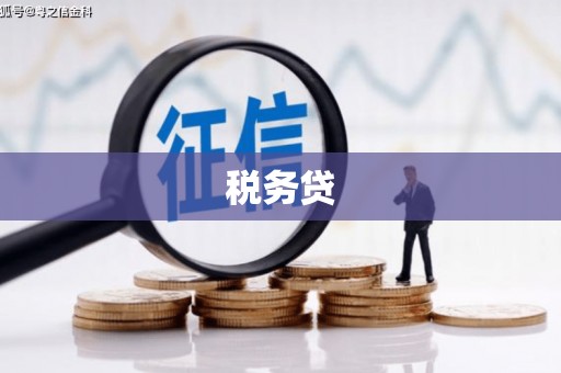 鹤庆税务贷