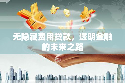 鹤庆无隐藏费用贷款，透明金融的未来之路