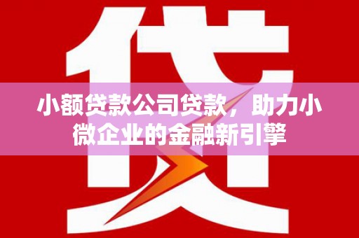 鹤庆小额贷款公司贷款，助力小微企业的金融新引擎