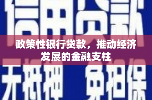 鹤庆政策性银行贷款，推动经济发展的金融支柱
