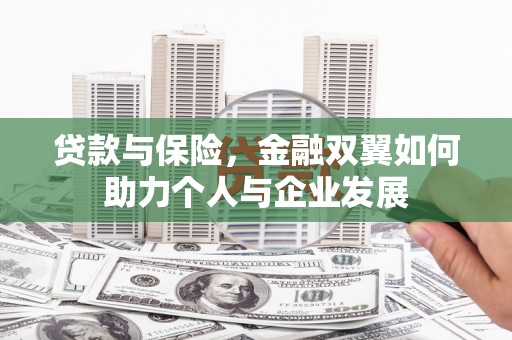 鹤庆贷款与保险，金融双翼如何助力个人与企业发展