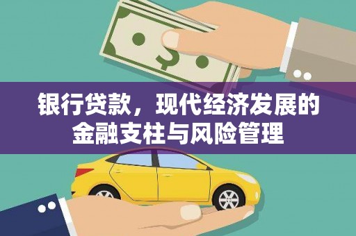 鹤庆银行贷款，现代经济发展的金融支柱与风险管理