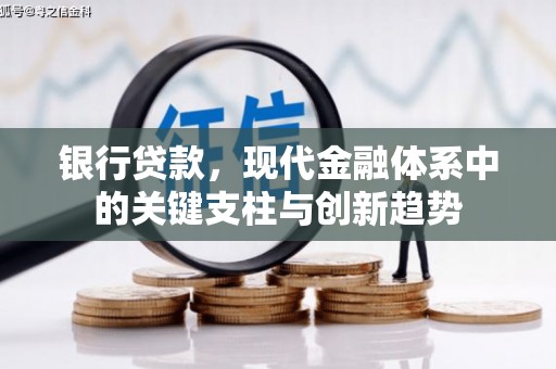 鹤庆银行贷款，现代金融体系中的关键支柱与创新趋势