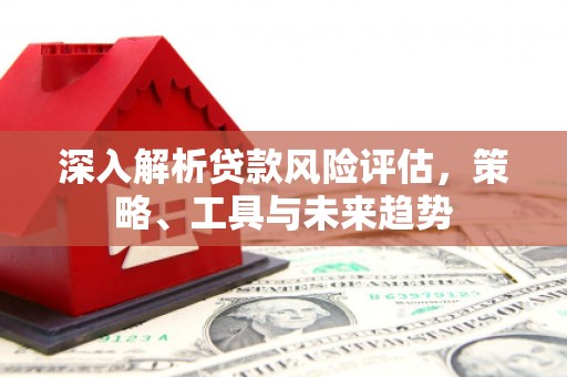 鹤庆深入解析贷款风险评估，策略、工具与未来趋势