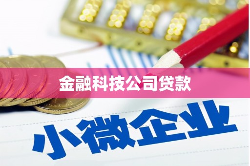 鹤庆金融科技公司贷款