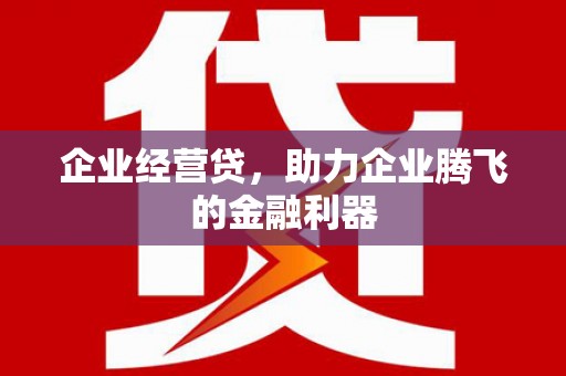 鹤庆企业经营贷，助力企业腾飞的金融利器