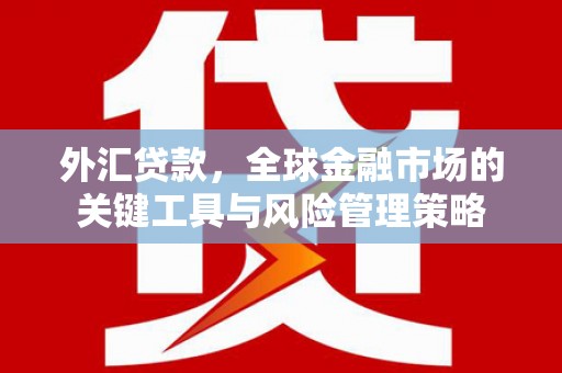 鹤庆外汇贷款，全球金融市场的关键工具与风险管理策略
