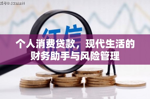 鹤庆个人消费贷款，现代生活的财务助手与风险管理