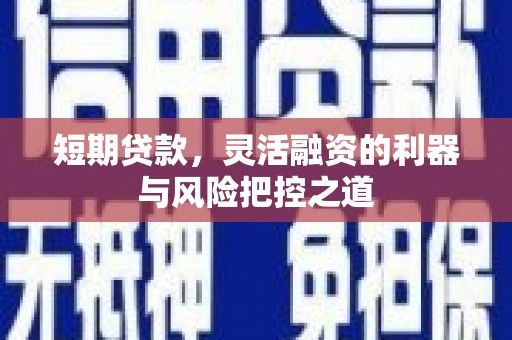 鹤庆短期贷款，灵活融资的利器与风险把控之道