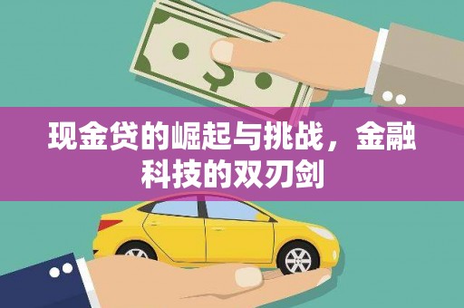 鹤庆现金贷的崛起与挑战，金融科技的双刃剑