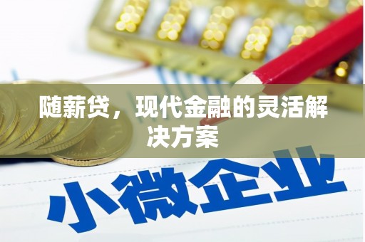 鹤庆随薪贷，现代金融的灵活解决方案