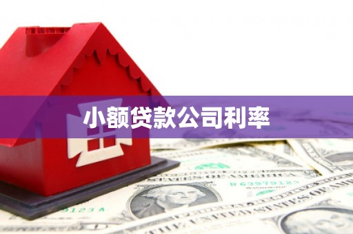 鹤庆小额贷款公司利率
