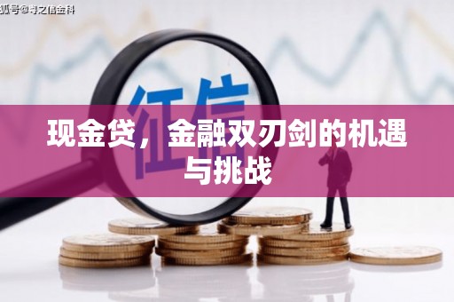 鹤庆现金贷，金融双刃剑的机遇与挑战