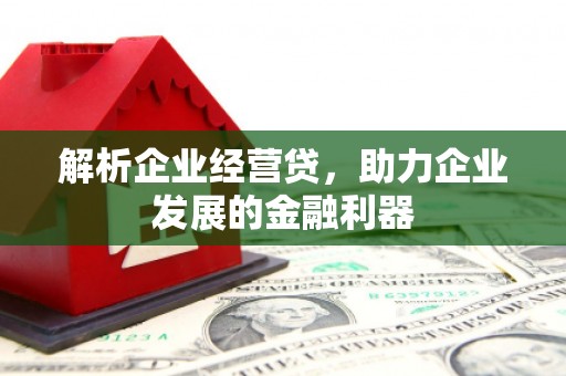 鹤庆解析企业经营贷，助力企业发展的金融利器