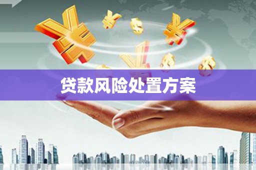 鹤庆贷款风险处置方案