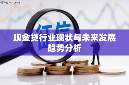 鹤庆现金贷行业现状与未来发展趋势分析
