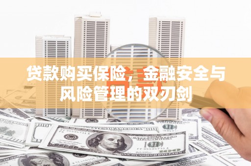 鹤庆贷款购买保险，金融安全与风险管理的双刃剑