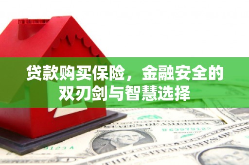鹤庆贷款购买保险，金融安全的双刃剑与智慧选择