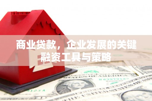 鹤庆商业贷款，企业发展的关键融资工具与策略