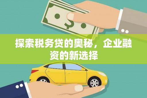 鹤庆探索税务贷的奥秘，企业融资的新选择