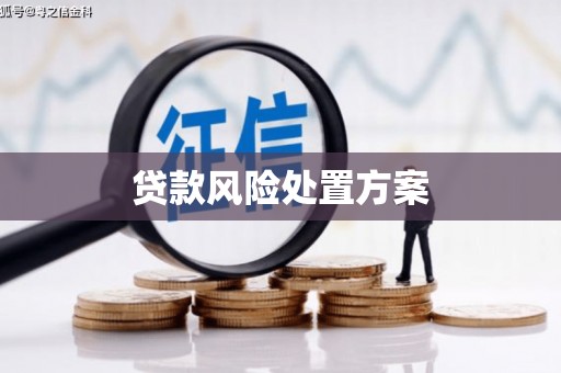 鹤庆贷款风险处置方案