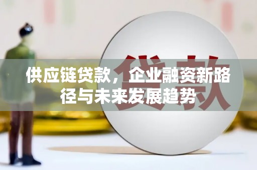 鹤庆供应链贷款，企业融资新路径与未来发展趋势