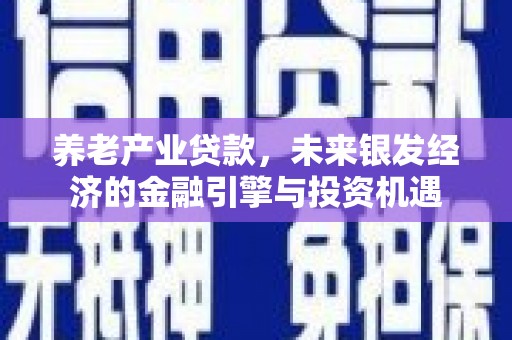 鹤庆养老产业贷款，未来银发经济的金融引擎与投资机遇