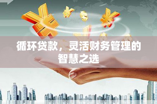 鹤庆循环贷款，灵活财务管理的智慧之选