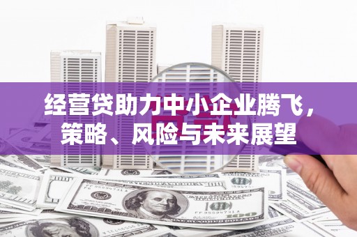 鹤庆经营贷助力中小企业腾飞，策略、风险与未来展望