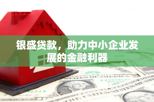 鹤庆银盛贷款，助力中小企业发展的金融利器