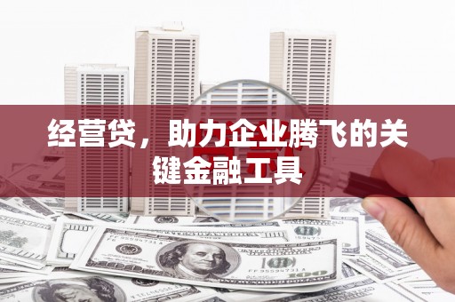 鹤庆经营贷，助力企业腾飞的关键金融工具