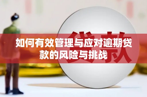 鹤庆如何有效管理与应对逾期贷款的风险与挑战