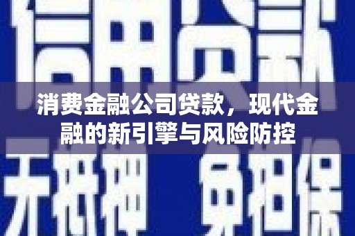 鹤庆消费金融公司贷款，现代金融的新引擎与风险防控