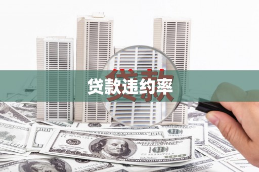 鹤庆贷款违约率