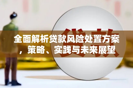 鹤庆全面解析贷款风险处置方案，策略、实践与未来展望