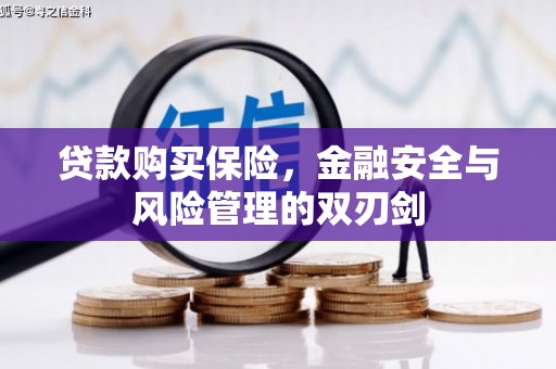 鹤庆贷款购买保险，金融安全与风险管理的双刃剑
