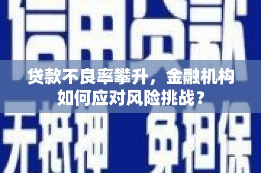 鹤庆贷款不良率攀升，金融机构如何应对风险挑战？