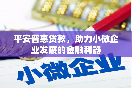 鹤庆平安普惠贷款，助力小微企业发展的金融利器