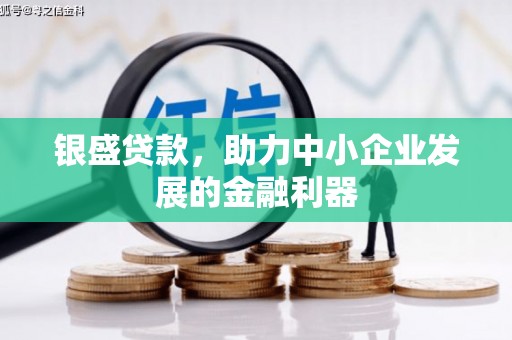鹤庆银盛贷款，助力中小企业发展的金融利器